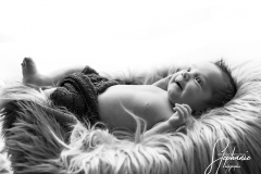 MG_0015sw