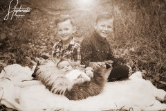 _MG_0851sepia