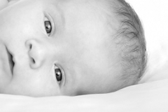 cropped-Portfolio2014_058